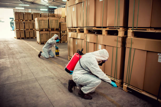 Best Affordable Pest Control Services  in Aberdeen, SD