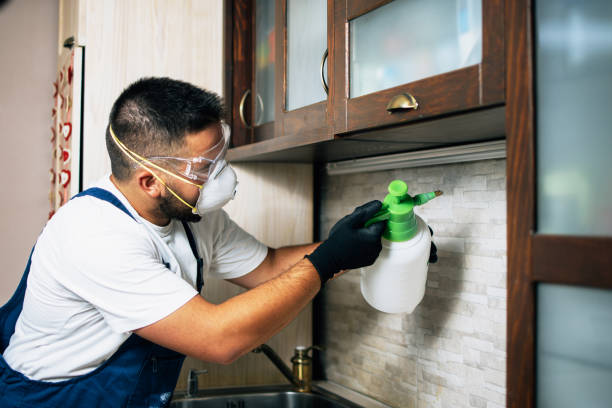 Best Best Pest Control Companies  in Aberdeen, SD