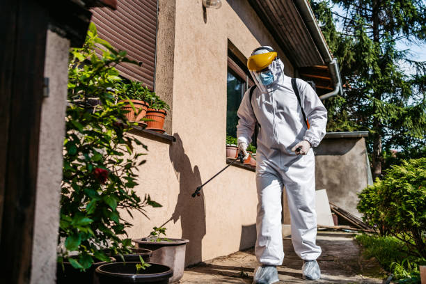 Best Termite Control Services  in Aberdeen, SD