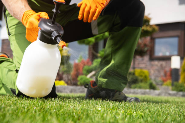 Best Mosquito Control Services  in Aberdeen, SD