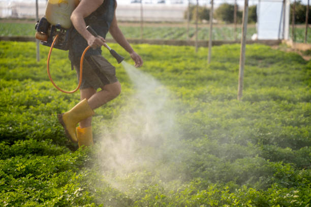Best Best Pest Control Companies  in Aberdeen, SD