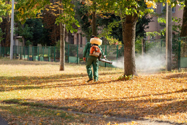 Best Local Pest Control Services  in Aberdeen, SD