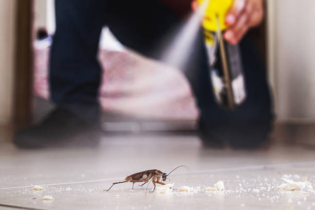 Best Affordable Pest Control Services  in Aberdeen, SD