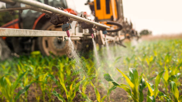Best Affordable Exterminators  in Aberdeen, SD