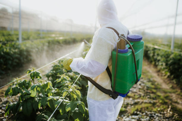 Best Emergency Pest Control  in Aberdeen, SD